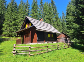 BRINA Pokljuka